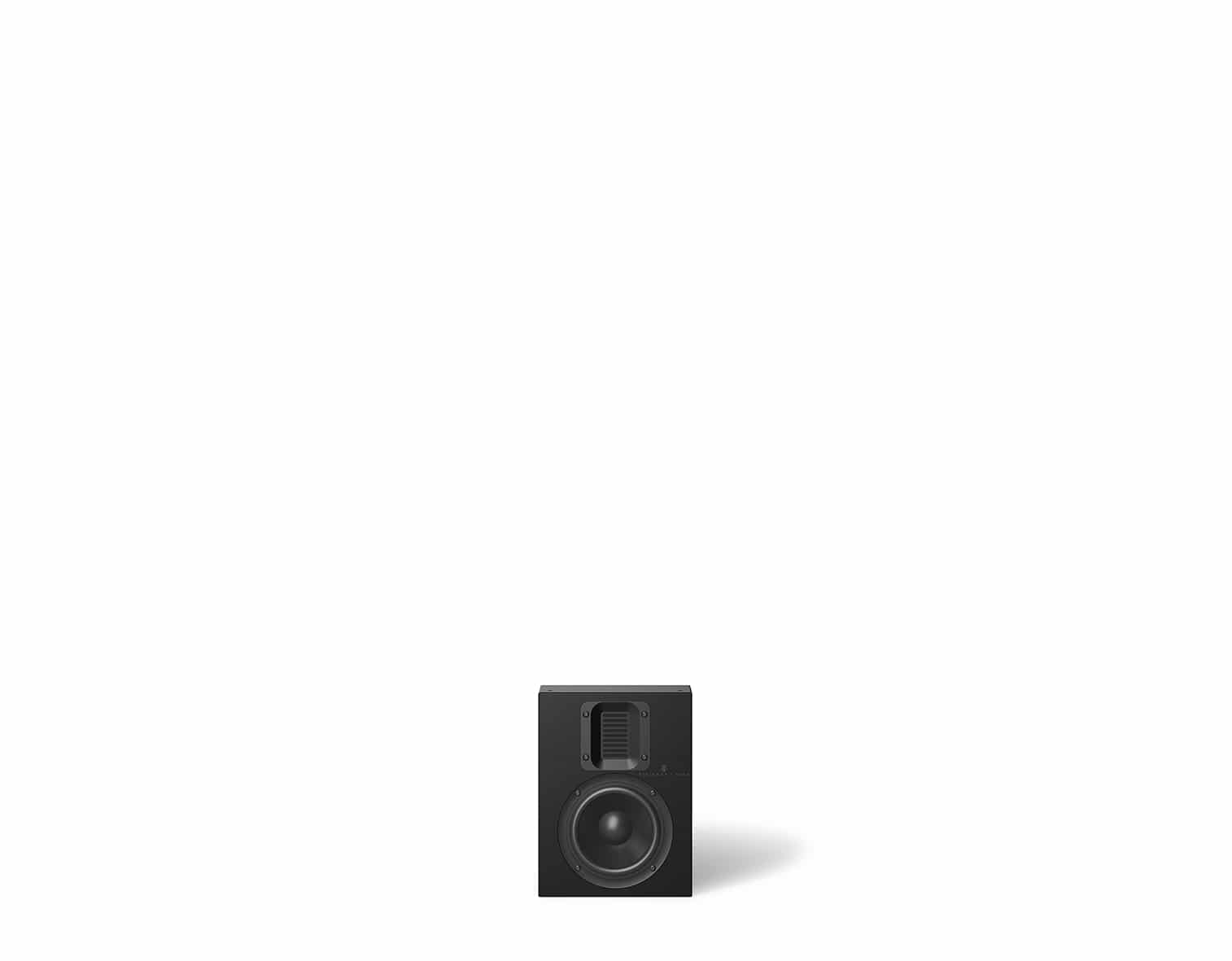 STEINWAY & SONS IW-15 Our smallest high-performance in-wall speaker